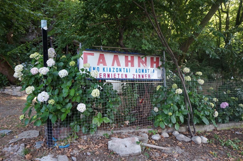ホテル Galini Samothraki テルマ エクステリア 写真
